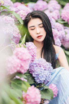 伪装者电视剧全集免费观看