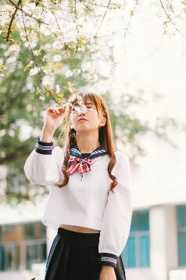 免费观看电视剧大全