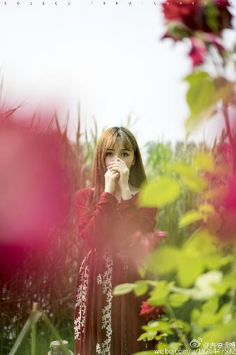 熊出没之重启未来免费观看完整版